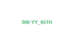 300-yy_65th